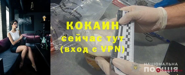 индика Абаза