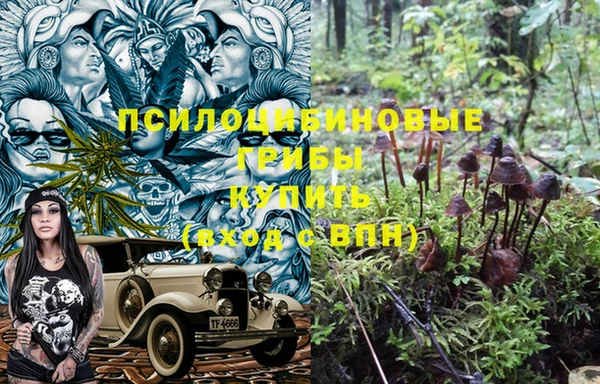 индика Абаза
