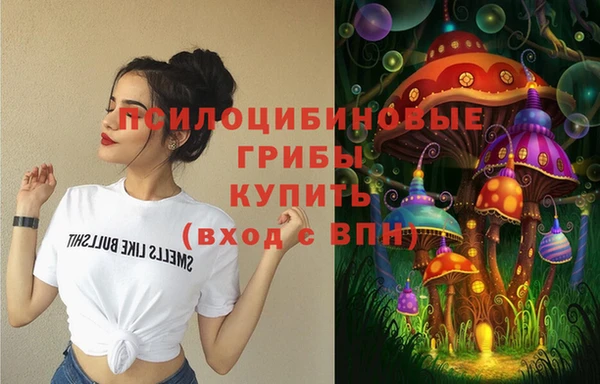 индика Абаза