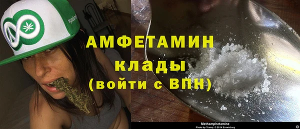 индика Абаза