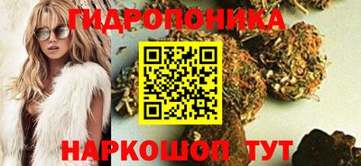 мдпв Шелехов