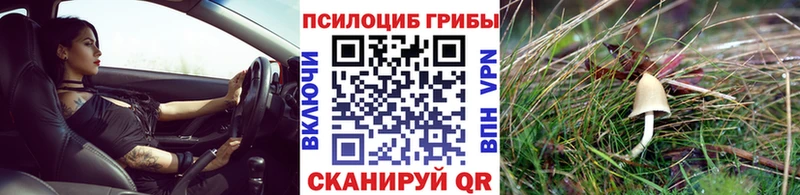 Галлюциногенные грибы мицелий  Орск 
