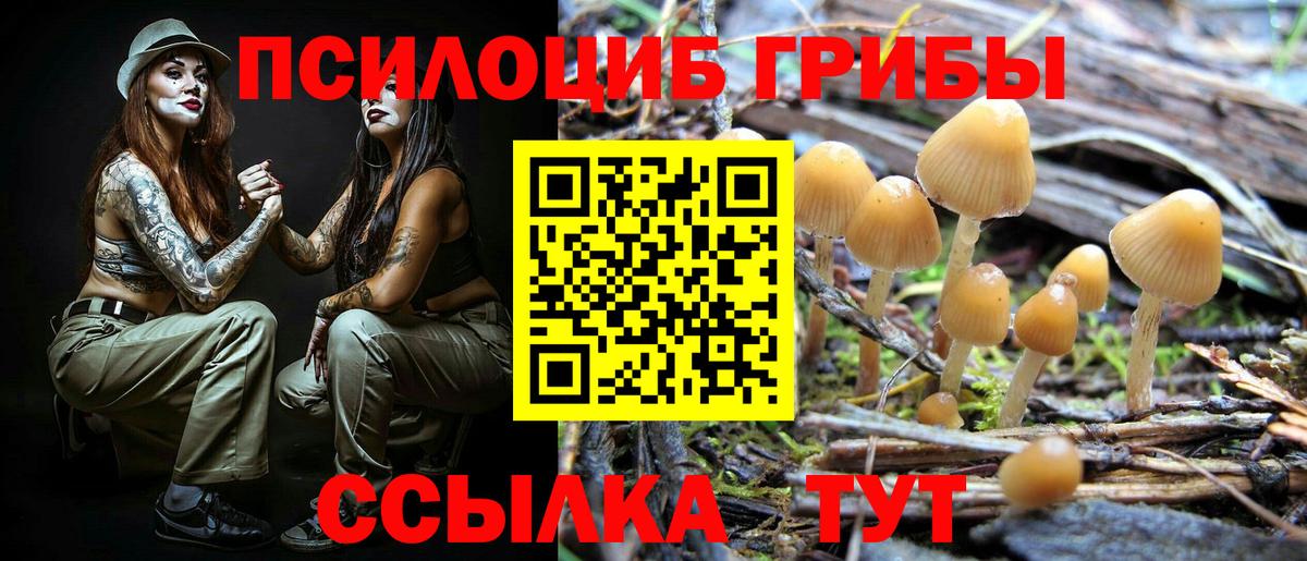 Псилоцибиновые грибы мицелий  Псилоцибиновые грибы Psilocybine cubensis  Вход с VPN  Орск 