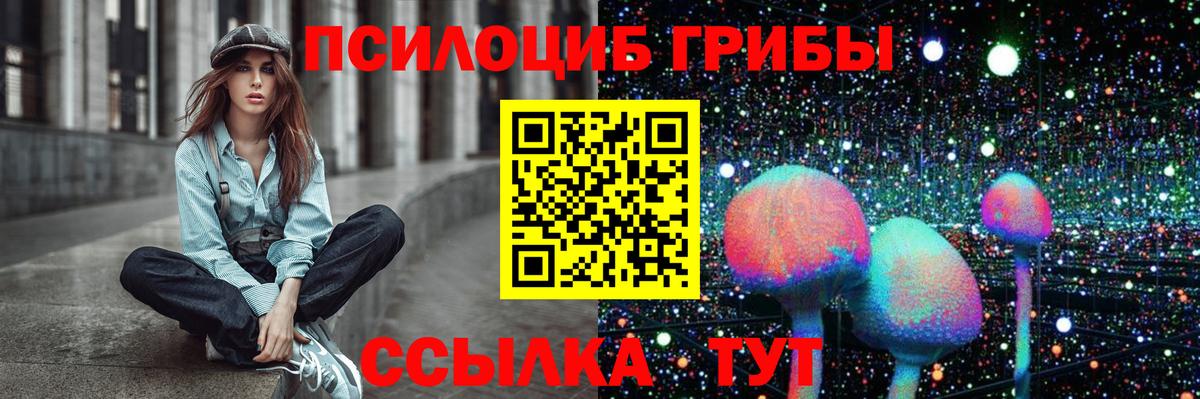 Галлюциногенные грибы Psilocybine cubensis Орск