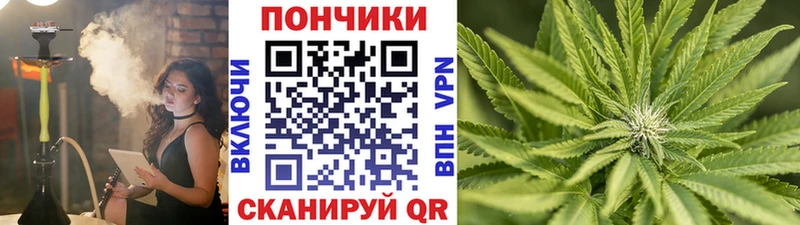 мега как войти  Орск  Шишки марихуана THC 21%  дарнет шоп 
